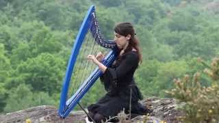 Alesia  ELUVEITIE  harp  harpe  竖琴 [upl. by Rrats]