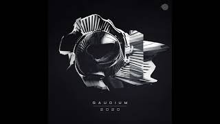 Gaudium  2020 [upl. by Alene666]