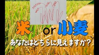 【画伯？】あなたは何に見えますか？「夫婦絵しりとり」 [upl. by Branch]