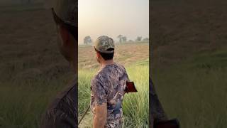 Fakhta bard hunt subscribe duckhunt [upl. by Narton]