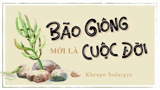 Sách nói Bão Giông Mới Là Cuộc Đời  Chương 1  Khenpo Sodargye [upl. by Kolva]