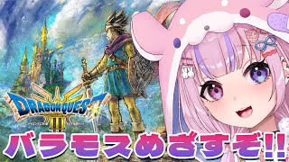 【HD2D版ドラゴンクエストⅢ そして伝説へ…】残りのオーブ4個！バラモス城目指すぞ！！【胡桃沢りりか】 [upl. by Rivalee511]