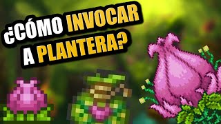 Cómo invocar a plantera  Terraria ✅ 2021 [upl. by Yelad232]