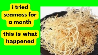 I TOOK SEA MOSS EVERY DAY FOR A MONTH – HERES WHAT HAPPENED [upl. by Ruprecht673]