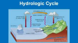 Limnology  Hydrologic Cycle [upl. by Suiramaj5]