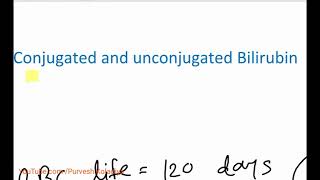 Hemolysis conjugated and unconjugated Bilirubin formation in Hindi  DrPurvesh Koladiya [upl. by Vyky]