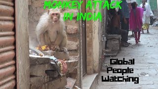 MONKEY ATTACK INDIA [upl. by Kroll]