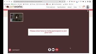 Petworks Video Chat Demo [upl. by Iaoh]