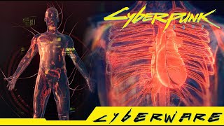 Cyberpunk 2077  Where can you get Neofiber Legendary Cyberware [upl. by Amorette]