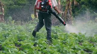 agriculture fumigation services garden fumigation services [upl. by Yadseut]