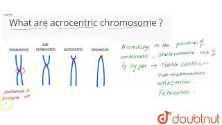 What are acrocentric chromosome [upl. by Sellihca166]