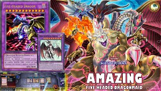 BEST FUSION Dragonmaid Five Headed Dragon  Dragonmaid Deck May 2024 YuGiOh MASTER DUEL [upl. by Nnaylloh]