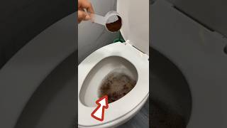 Green Cleaning Kill Germs and Bugs in Your Bathroom GreenCleaning CleanBathroom DIY HomeHelp [upl. by Corie470]