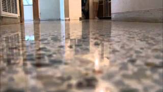 Terrazzo Restoration by SafeDry 8778240501 [upl. by Adianes]