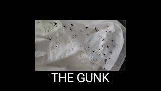 TALKING CAT VIDEO  TOE GUNK [upl. by Monroy166]