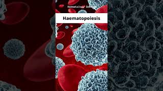 Haematopoiesis [upl. by Tamarah]