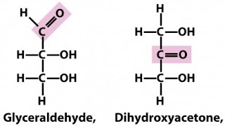 Trioses  Glyceraldehyde and Dihydroxy acetone  Monosaccharides [upl. by Arvo]