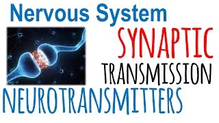 Synaptic transmission and neurotransmitters [upl. by Hedvig101]