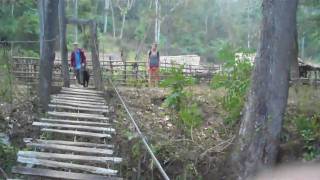 Rickety Bridge  Chiang Mai [upl. by Edlyn]