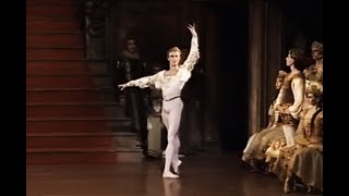 Volodymir Malakhov in Swan Lake 1998 [upl. by Halac]