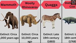 Here Are The 20 Notable Extinct Animals Along With The Approximate Times Animals Comparison [upl. by Durston]