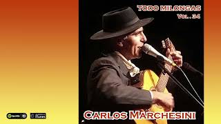 Carlos Marchesini Todo Milongas Vol 34 [upl. by Farrar]