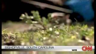 Lizard Man On The Loose South Carolina [upl. by Giannini725]