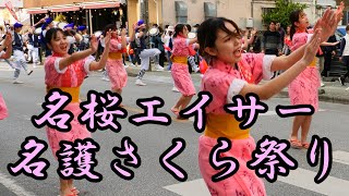 名桜エイサー 名護さくら祭り道ジュネー 令和５年１月２９日 【名桜エイサー】 [upl. by Nerat]