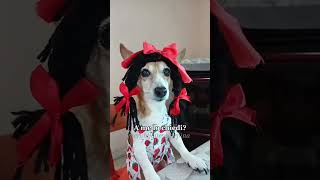 Un mix di Brignano e altro merybijouesciarpina comedy jackrussell mix [upl. by Arrat277]