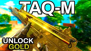 quotTAQMquot GOLD Camo Guide amp Gameplay  All You NEED To Know  Modern Warfare 2 [upl. by Wailoo671]