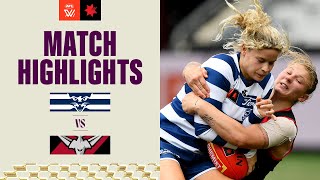 Geelong v Essendon Highlights  2023 NAB AFLW Finals [upl. by Lisabeth]