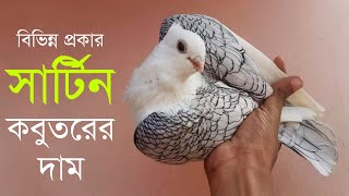 সাটিন কবুতরের দাম  Satin pigeon price in bd  Satinette pigeon price  Oriental frill pigeon [upl. by Inanak]