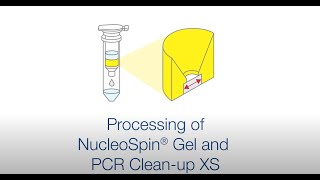 Processing of NucleoSpin Gel and PCR Cleanup XS [upl. by Maressa706]