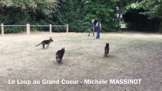 Sortie de pré éducation canine avec Michèle Massinot du Loup au Grand Coeur [upl. by Aneert]