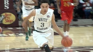 Chris Chiozza Florida Bound Senior Mixtape [upl. by Mafala49]