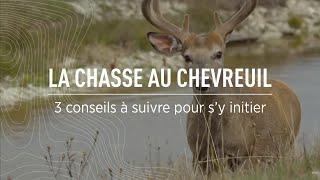 La chasse au chevreuil  Trois conseils pour sy initier [upl. by Reta]