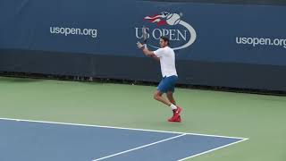 Juan Martín Del Potro FOREHAND in Slow Motion BACK and FRONT view [upl. by Adnaw484]