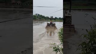 farming of paddy framing field prepared [upl. by Lenox223]