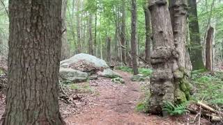 630 am walk from campsite in Wompatuck State Park in Massachusetts just south of Boston [upl. by Kattie707]