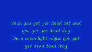 Dead skunk in the middle of the road lyrics [upl. by Nylarad]