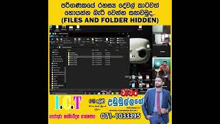 How to Hide Folder in Windows  Helpful Guide [upl. by Silrac]