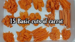 15 types of vegetable cuts  Basic vegetable cut  knife skill with carrot chefhemanta [upl. by Eedoj459]