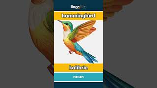 🇬🇧🇳🇱 hummingbird  kolibrie  vocabulary builder  learn English  laten we Engels leren [upl. by Caspar]