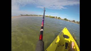 Kayak fishing Maroochy River [upl. by Rheba]