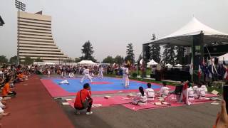 Kukkiwon Taekwondo Demonstration Team  Burnaby BC Canada Aug 05 2017 [upl. by Hilel]