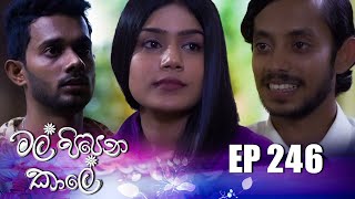 Mal Pipena Kale  Episode 246 13th September 2022 [upl. by Kata]