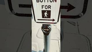 How to push the crosswalk button shorts crosswalk funny comedy button vlogs viralvideo [upl. by Nyhagen]