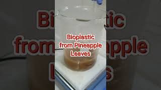 Bioplastic from Pineapple Leaves [upl. by Chelsie]