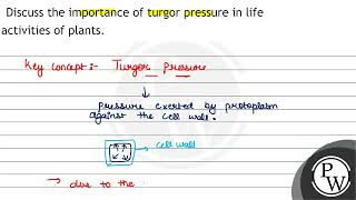 Discuss the importance of turgor pressure in life activities of plants [upl. by Yelsgnik]