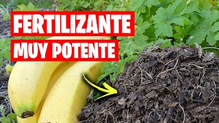 NO USES MÁS Pieles de PLÁTANO y Cáscaras de HUEVO sin SABER ESTO Fertilizante Abono CASERO Plantas [upl. by Abdel842]